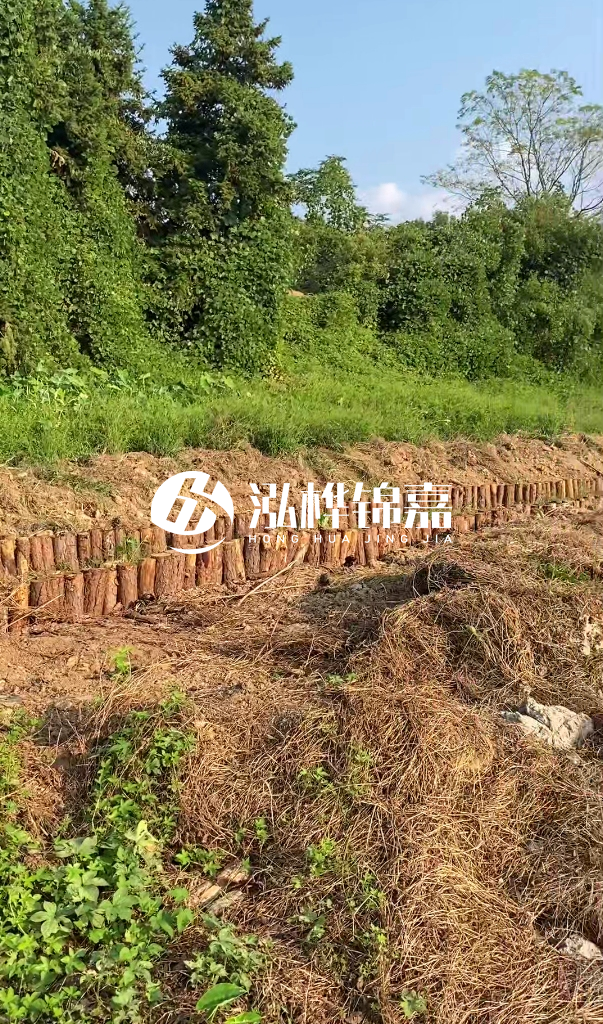 許昌河道清淤專業(yè)施工-河道污水治理要多長時(shí)間？