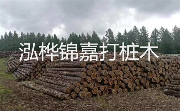 選擇紅磚護(hù)坡，打造獨(dú)特的美麗景觀