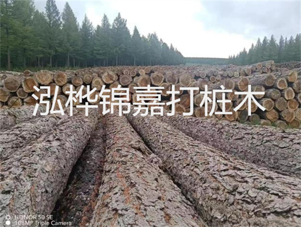 高效施工，圓松木樁助力建筑工程進(jìn)展順利