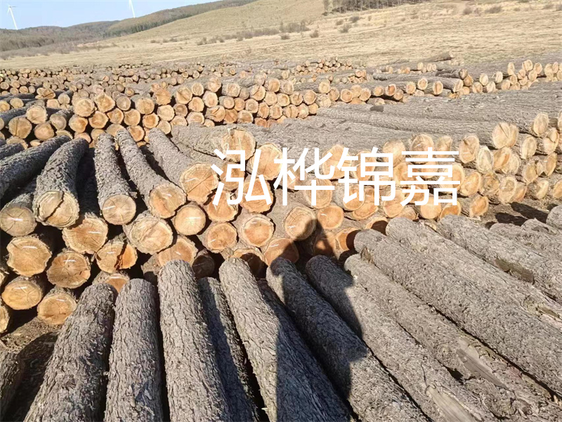選擇合適的路緣石尺寸，打造美麗道路