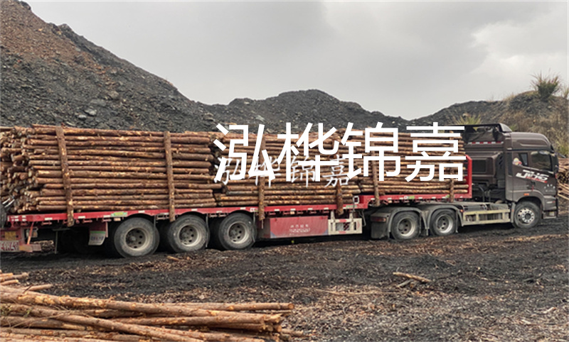 云南哪里有松木樁？實用指南，助您選購優(yōu)質(zhì)木材！